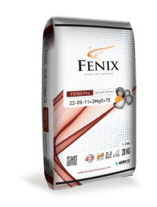 Ingrasamant de vara pentru Gazon Fenix Spring & Summer