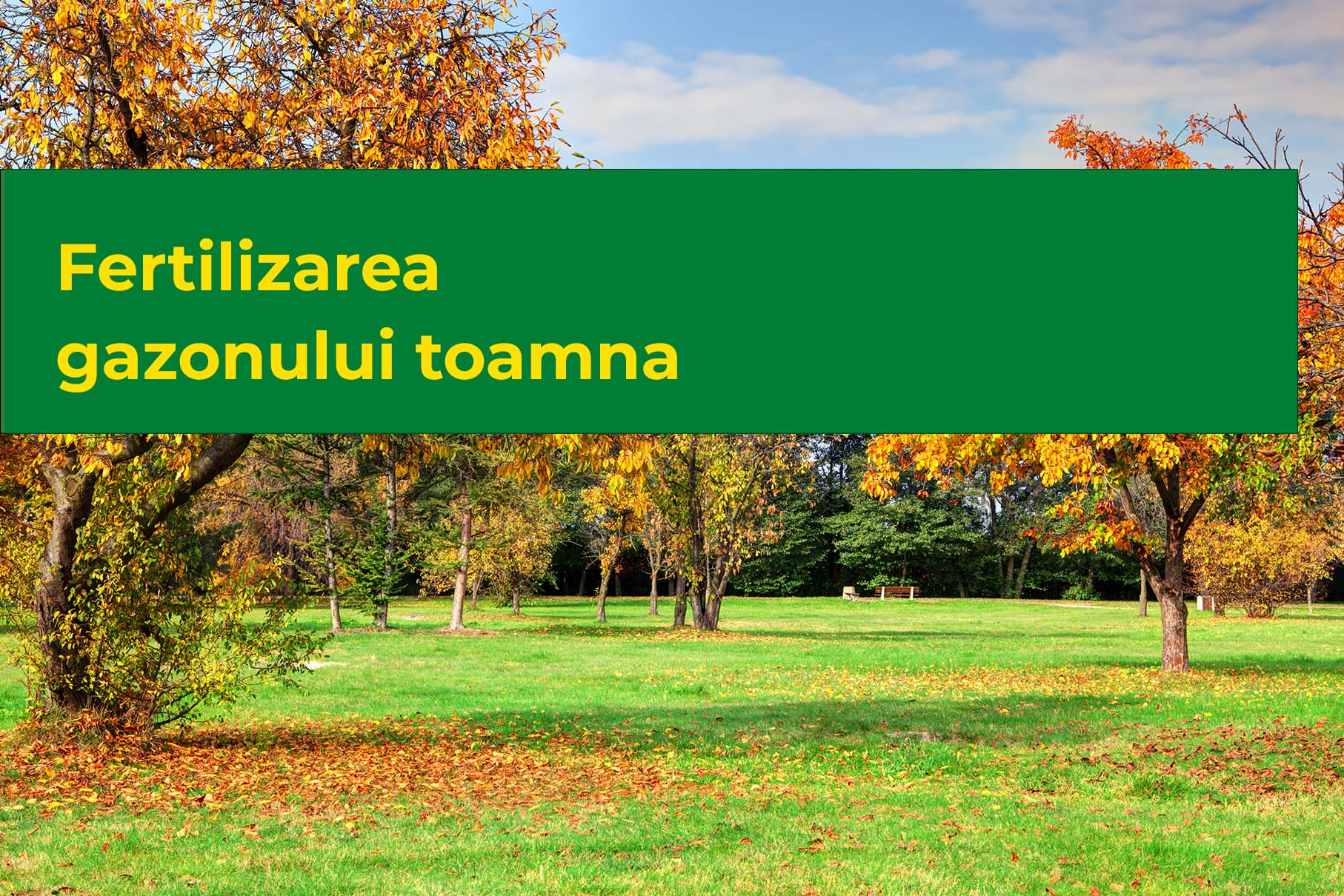 Read more about the article Fertilizarea gazonului toamna