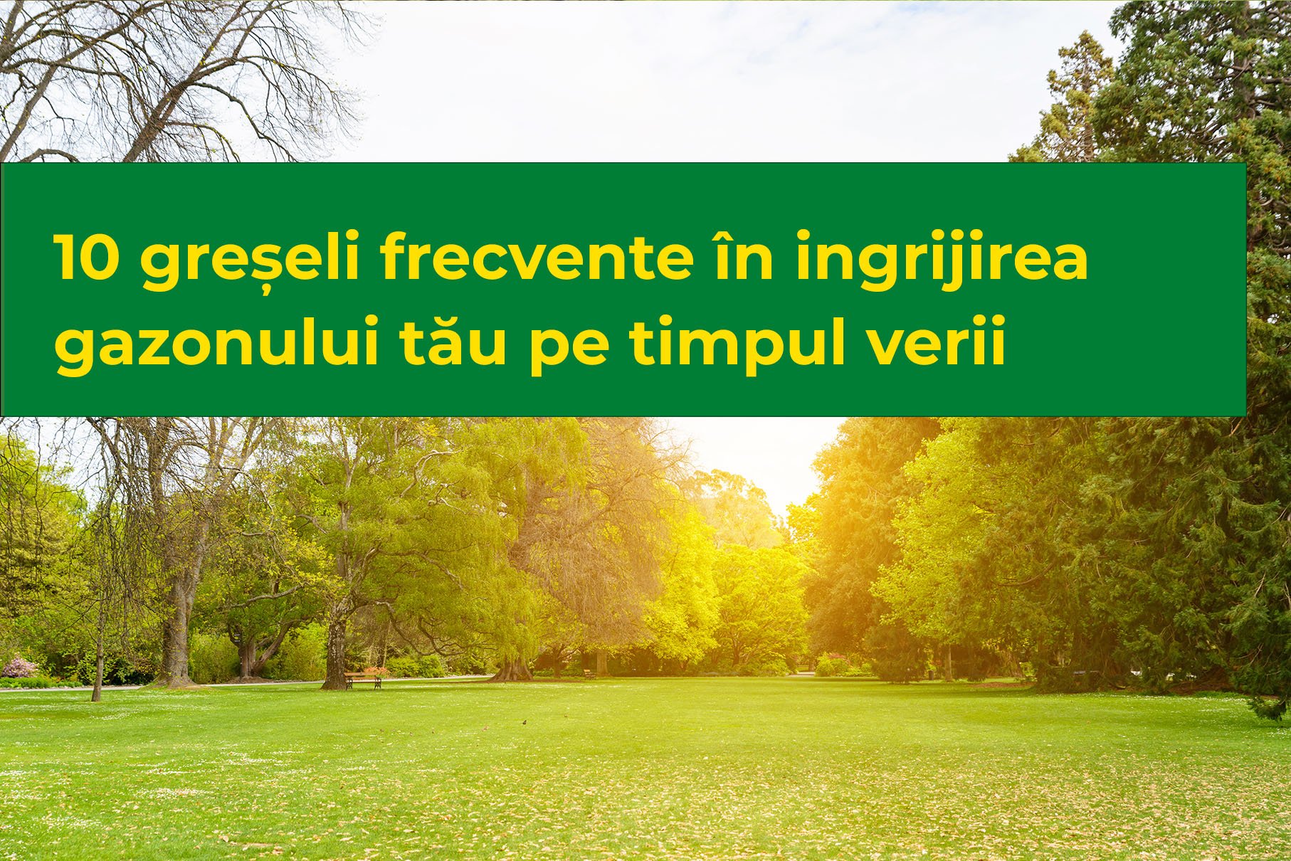 Read more about the article 10 greșeli frecvente în îngrijirea gazonului tău pe timpul verii