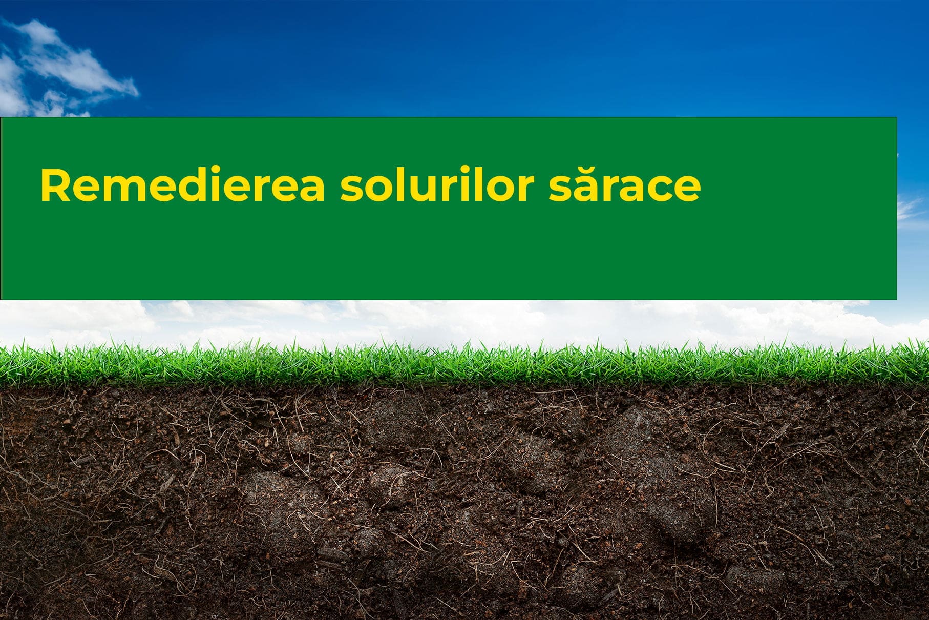 Read more about the article Remedierea solurilor sărace