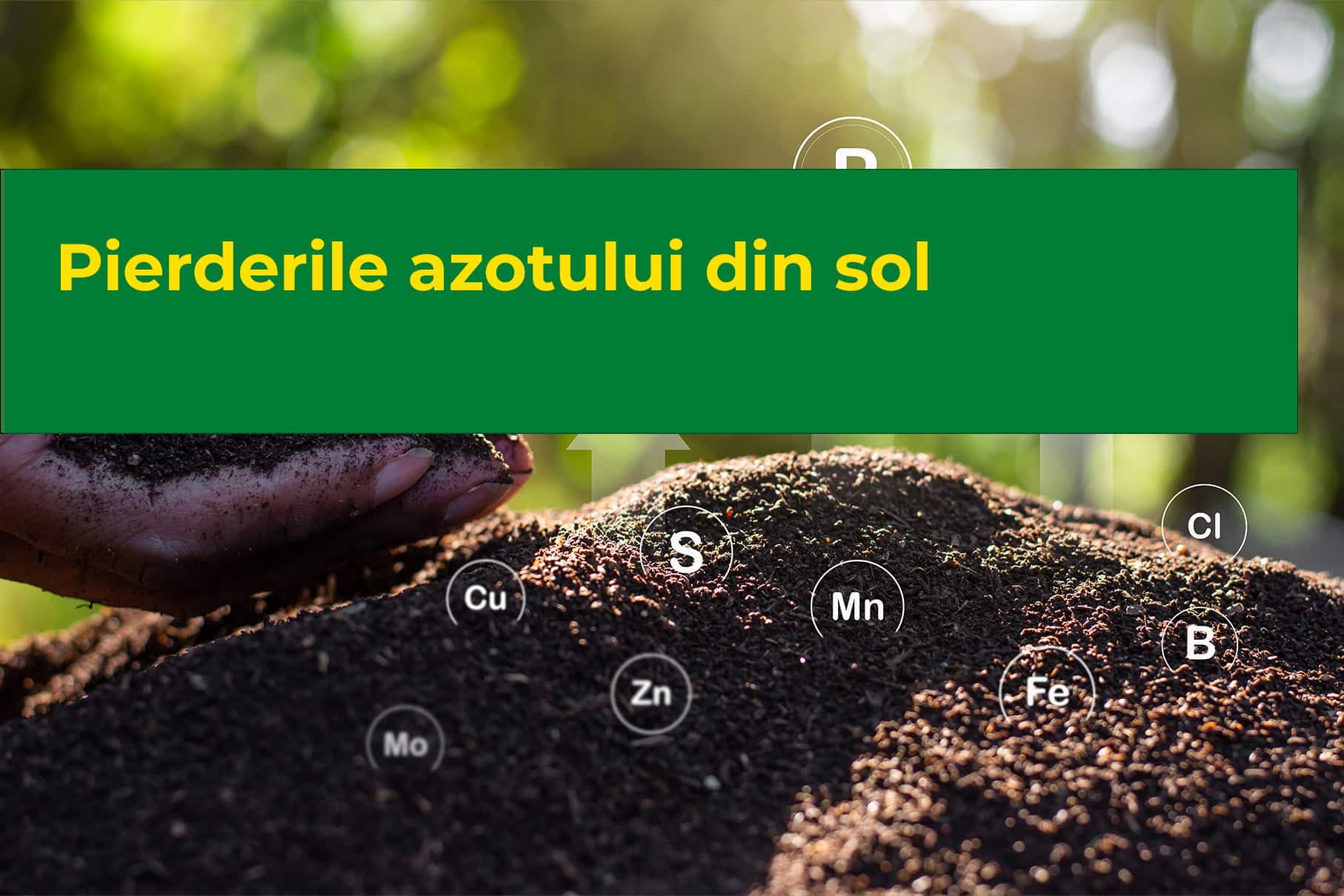 Read more about the article Pierderile azotului din sol