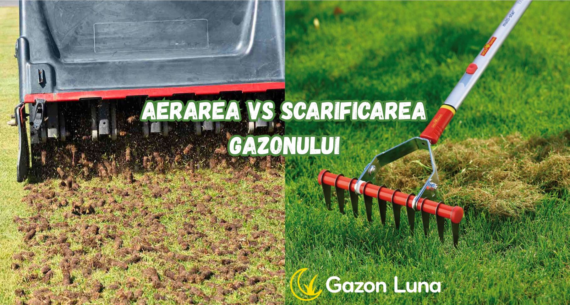 Read more about the article Aerarea și Scarificarea Gazonului
